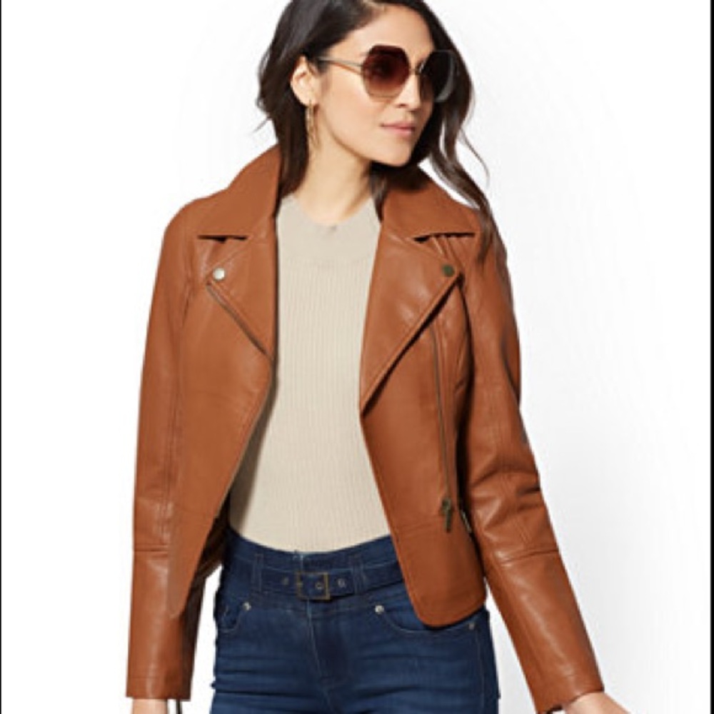 New York & Company Moto Jacket in Cognac